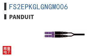 FS2EPKGLGNGM006