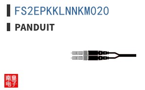 FS2EPKKLNNKM020