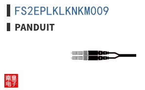 FS2EPLKLKNKM009
