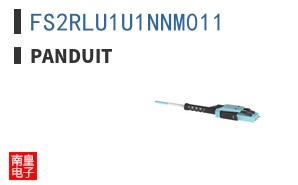 FS2RLU1U1NNM011