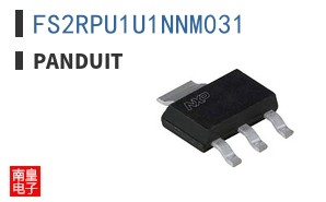 FS2RPU1U1NNM031