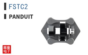 FSTC2