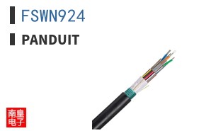 FSWN924
