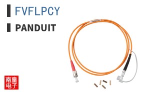 FVFLPCY