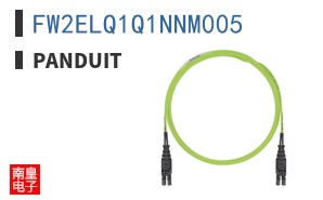 FW2ELQ1Q1NNM005