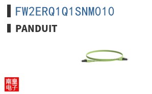 FW2ERQ1Q1SNM010