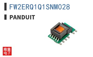 FW2ERQ1Q1SNM028
