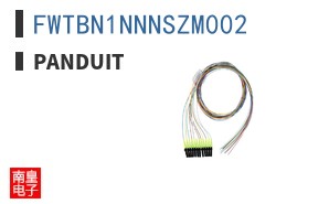 FWTBN1NNNSZM002