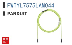 FWTYL7575LAM044