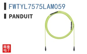 FWTYL7575LAM059