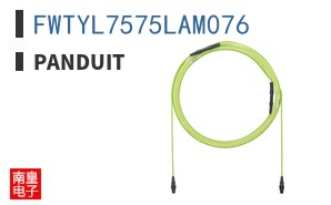 FWTYL7575LAM076