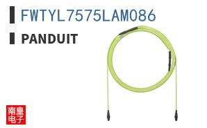FWTYL7575LAM086