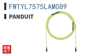 FWTYL7575LAM089