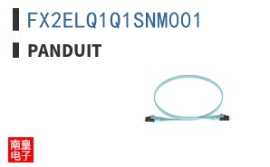 FX2ELQ1Q1SNM001