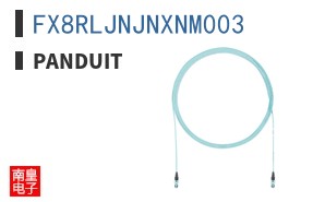 FX8RLJNJNXNM003