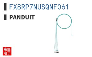 FX8RP7NUSQNF061