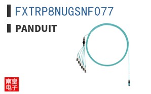 FXTRP8NUGSNF077