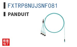 FXTRP8NUJSNF081