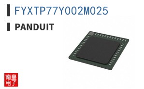 FYXTP77Y002M025
