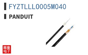 FYZTLLLO005M040