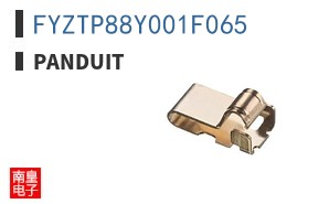 FYZTP88Y001F065