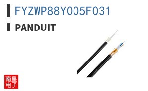 FYZWP88Y005F031
