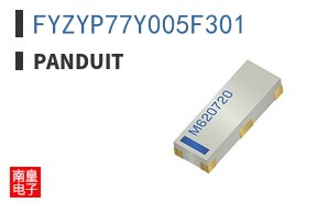FYZYP77Y005F301