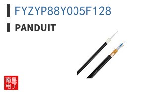 FYZYP88Y005F128