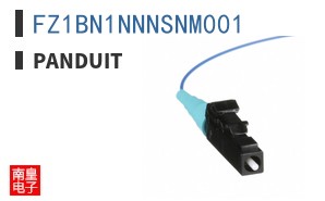 FZ1BN1NNNSNM001