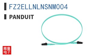 FZ2ELLNLNSNM004