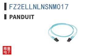 FZ2ELLNLNSNM017