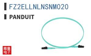 FZ2ELLNLNSNM020