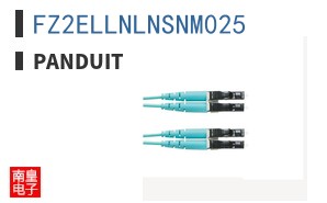 FZ2ELLNLNSNM025