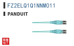 FZ2ELQ1Q1NNM011