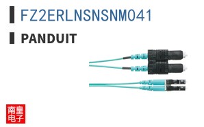FZ2ERLNSNSNM041
