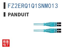 FZ2ERQ1Q1SNM013