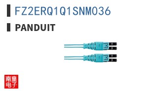 FZ2ERQ1Q1SNM036