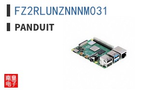 FZ2RLUNZNNNM031