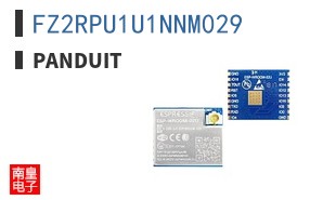 FZ2RPU1U1NNM029