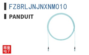 FZ8RLJNJNXNM010