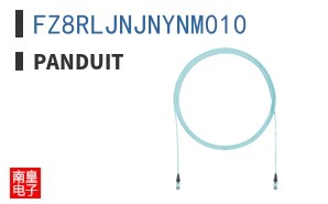 FZ8RLJNJNYNM010