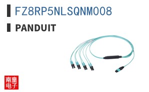 FZ8RP5NLSQNM008