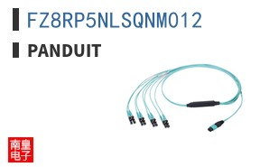 FZ8RP5NLSQNM012