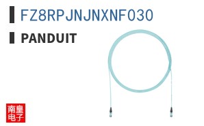 FZ8RPJNJNXNF030