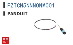 FZTCN5NNNONM001