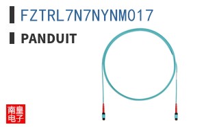 FZTRL7N7NYNM017