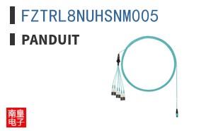 FZTRL8NUHSNM005