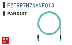 FZTRP7N7NANF013