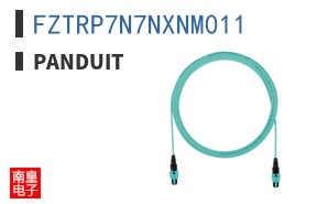 FZTRP7N7NXNM011