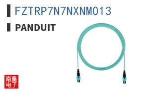 FZTRP7N7NXNM013